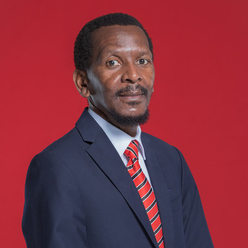 Mr. Mthunzi Dlamini